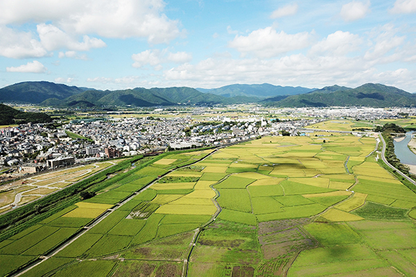 亀岡市 亀岡市